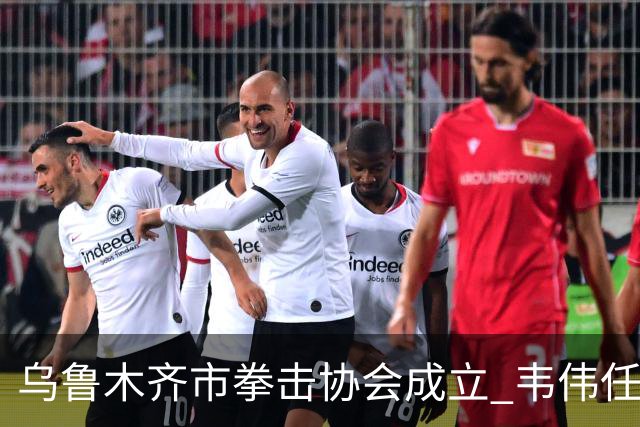 乌鲁木齐市拳击协会成立 韦伟任会长